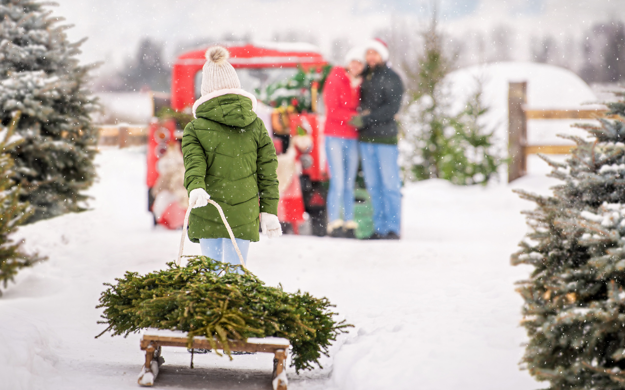 A Holiday Loan for All Your Magical Moments